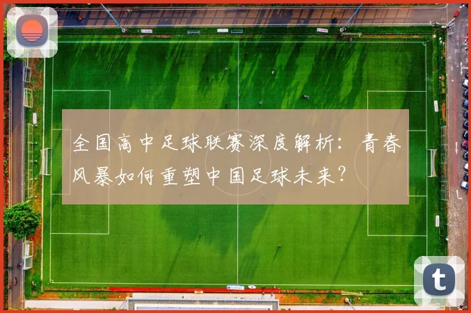 全国高中足球联赛深度解析:青春风暴如何重塑中国足球未来?