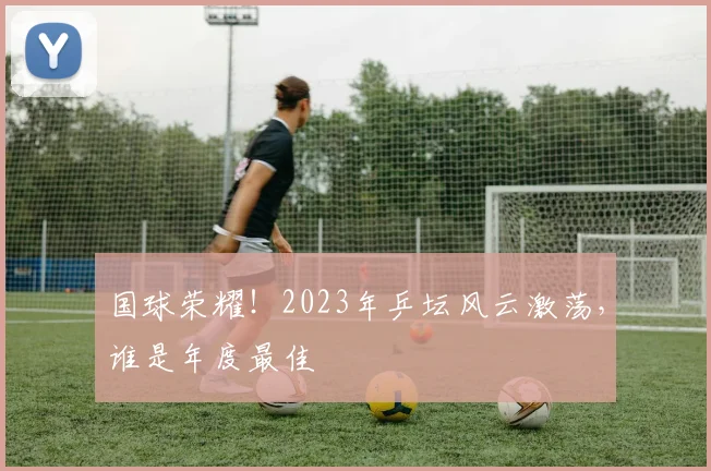 国球荣耀!2023年乒坛风云激荡,谁是年度最佳
