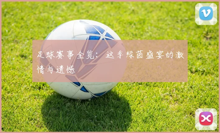 足球赛事全览:这季绿茵盛宴的激情与遗憾
