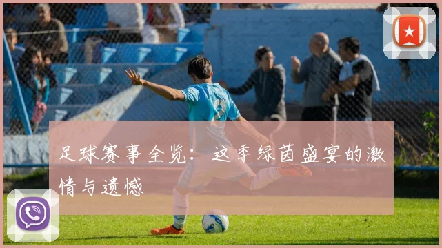 足球赛事全览:这季绿茵盛宴的激情与遗憾